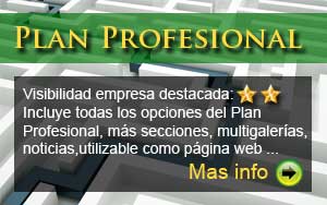 Plan Profesional