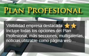 Plan Profesional