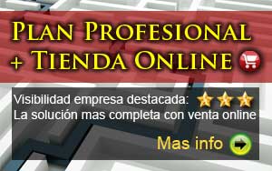 Plan Profesional con Tienda Online