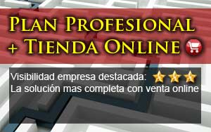 Plan Profesional con Tienda online